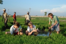 Trying hand at paddy sowing